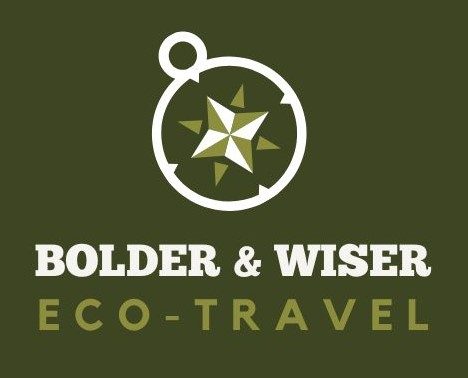 Polycrisis Navigator