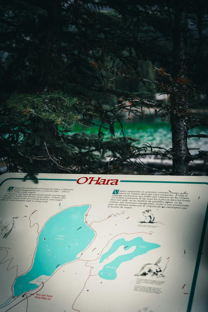 Explore the beautiful Lake O'Hara area with this forest setting map in Field, BC, Canada.